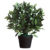 Paperflow Kunstplant Le Laurel 190 x 190 x 500 mm