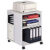 DURABLE Kopieer- en printerkast Lichtgrijs 528 x 592 x 748 mm