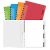 Adoc Colourlines A4 Ring Gebonden Schrift Kleurenassortiment Polypropylene Kaft Gelinieerd 72 vellen